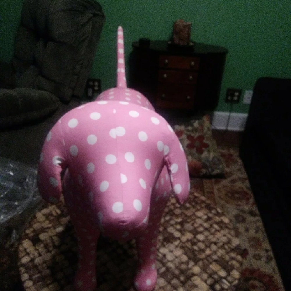 Iso vs pink display dog